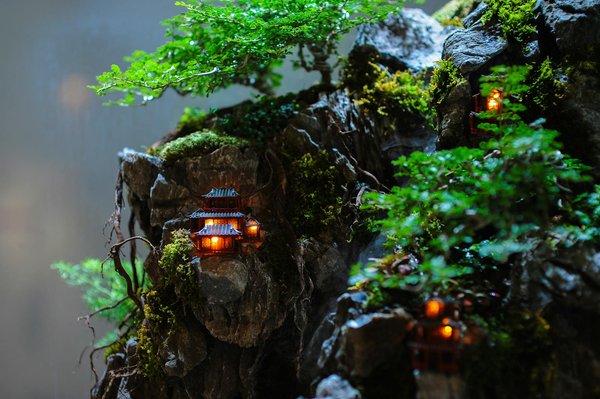 Les motivations des migrants : focus sur diverses populations