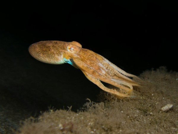 L'agence de communication à monaco pour propulser votre succès